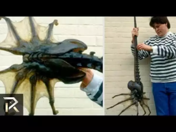 Video: 10 BIZARRE Creatures Discovered Inside People